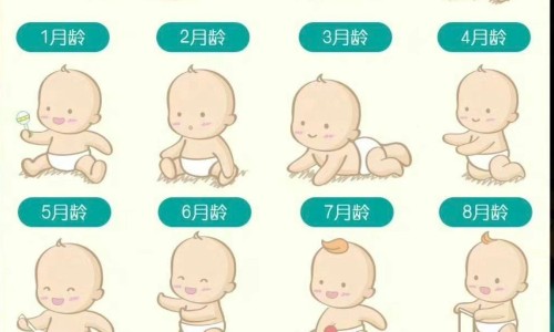 婴儿单核细胞偏高网 - 为你提供婴儿单核细胞偏高说明什么、婴儿单核细胞偏高需要治疗吗